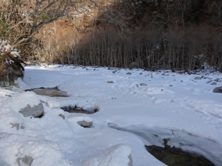 東沢の河原