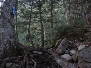 岳沢登山道の７号標識