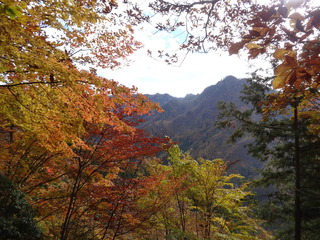 峠への登り途中で見る両神山