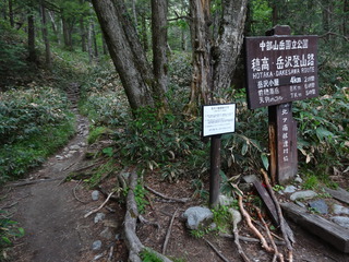 岳沢登山道入口